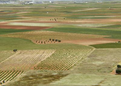 La Mancha View